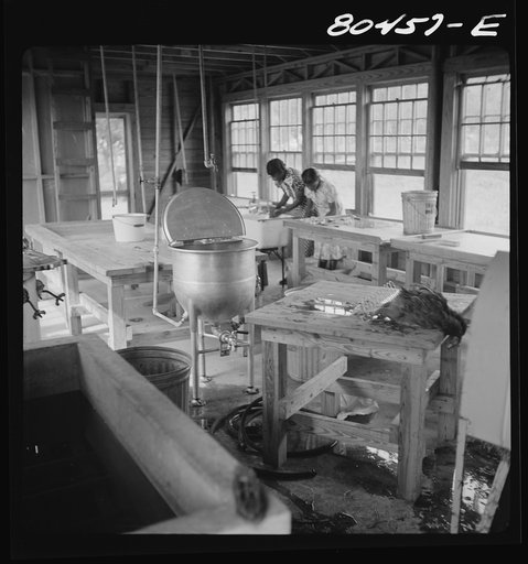 Interior of Enterprise FSA (Farm Security Administration) canning and dressing station. Coffee County, Alabama