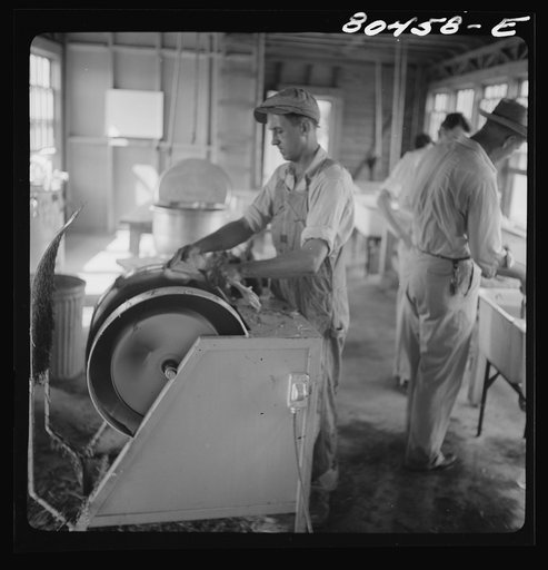 Untitled photo, possibly related to: Interior of Enterprise FSA (Farm Security Administration) canning and dressing station. Coffee County, Alabama