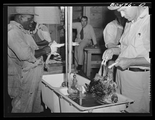 Scalding chickens prior to plucking. FSA (Farm Security Administration) canning station, Coffee County, Alabama