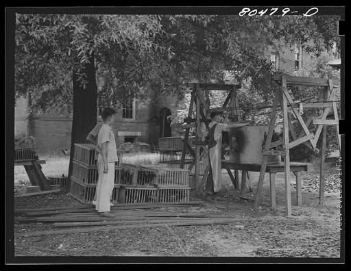 Untitled photo, possibly related to: "Painless killer" in action. FSA (Farm Security Administration) canning plant. Coffee County, Alabama