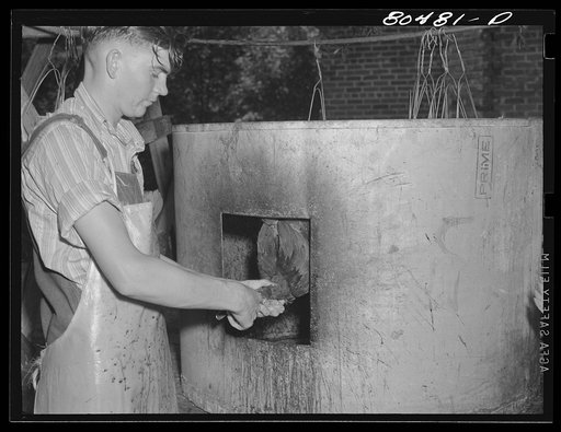 "Painless killer" in action. FSA (Farm Security Administration) canning plant. Coffee County, Alabama