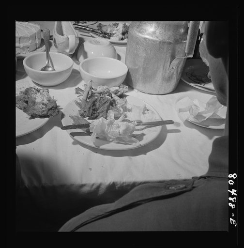 Nothing left but the bones of these chickens raised by FSA (Farm Security Administration) borrowers. Craig Field, Southeastern Air Training Center, Selma, Alabama