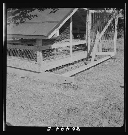 Moveable hen house on farm near Haymarket, Virginia