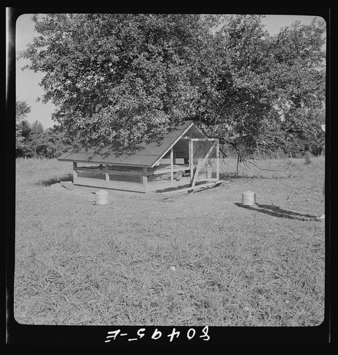Moveable hen house on farm near Haymarket, Virginia