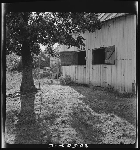 Barn on chicken farm owned and operated by a woman near Haymarket, Virginia