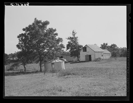 Prefabricated hen house and barn on farm near Haymarket, Virginia