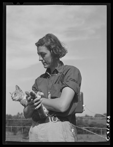 Owner and operator of a chicken farm near Haymarket, Virginia