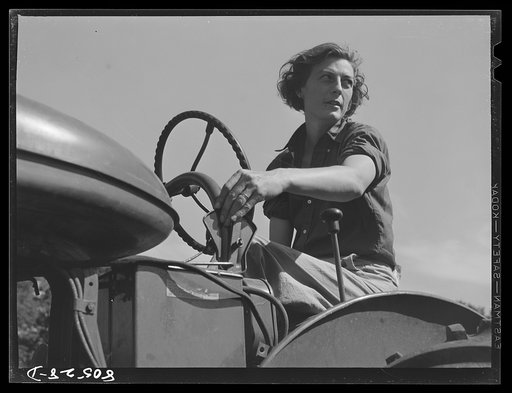 Untitled photo, possibly related to: Owner and operator of chicken farm near Haymarket, Virginia
