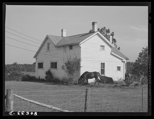 House on chicken farm owned and operated by a woman near Haymarket, Virginia