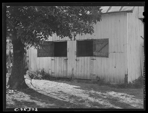 Untitled photo, possibly related to: Barn on chicken farm owned and operated by a woman near Haymarket, Virginia