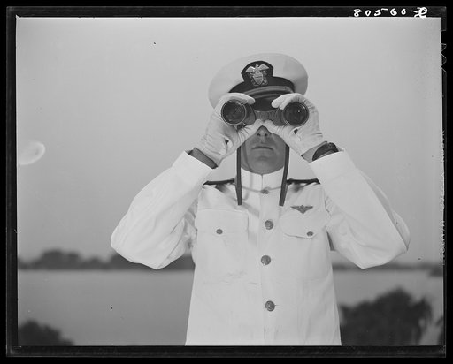 Untitled photo, possibly related to: Naval officer, Anacostia, Washington, D.C.