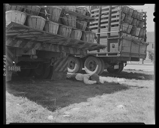 This Negro trucker has been waiting since dawn to deliver his tomatoes to the Phillips Packing Company in Cambridge, Maryland