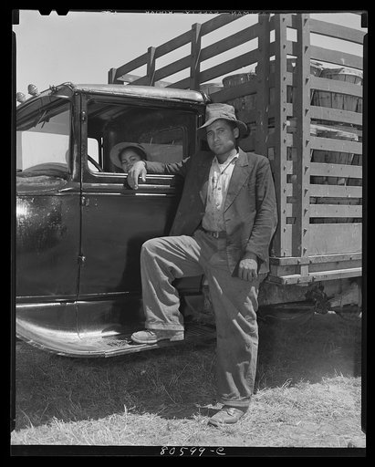 Untitled photo, possibly related to: This trucker has been waiting all day to deliver his tomatoes to the Phillips Packing Company. Cambridge, Maryland