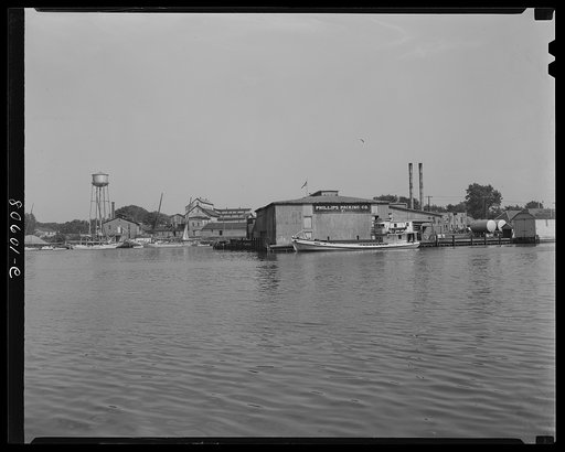 Phillips Tomato Packing Company ships a part of its canned goods to Baltimore by its own diesel boats, which return with supplies for the canning plant. Cambridge, Maryland