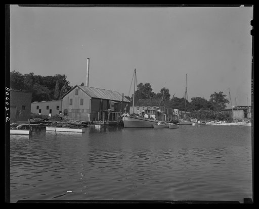 Untitled photo, possibly related to: Rival Lennord Canning Company, which is in operation directly across from the waterfront storehouse of the Phillips Packing Company. Cambridge, Maryland