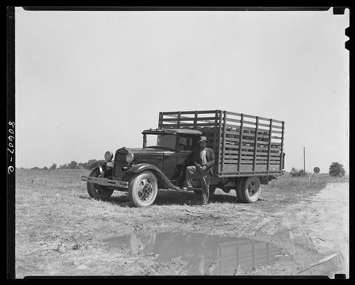 Untitled photo, possibly related to: This trucker has been waiting all day to deliver his tomatoes to the Phillips Packing Company. Cambridge, Maryland