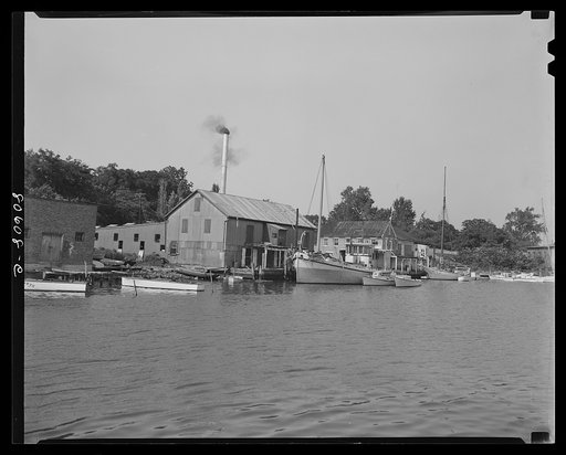 Rival Lennord Canning Company, which is in operation directly across from the waterfront storehouse of the Phillips Packing Company. Cambridge, Maryland
