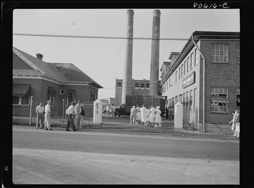 Employees reporting for work at the Phillips Packing Company. Cambridge, Maryland