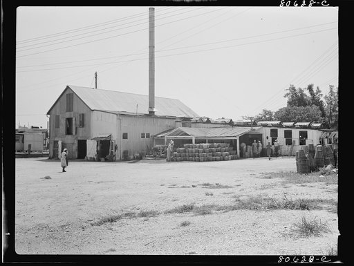 The Lennord Cannery is like many of the privately owned packing plants throughout the east shore. Maryland