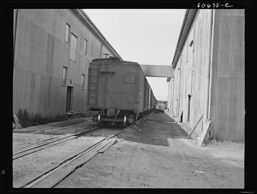 Untitled photo, possibly related to: A railroad spur enters the Phillips Packing Company plant to load canned goods for distant points not reached by truck line. Cambridge, Maryland