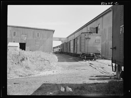Untitled photo, possibly related to: A railroad spur enters the Phillips Packing Company plant to load canned goods for distant points not reached by truck line. Cambridge, Maryland