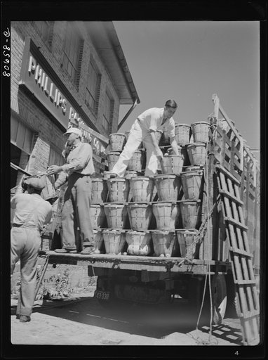 Untitled photo, possibly related to: Trucks unload tomatoes directly into the canning room. Phillips Packing Company, Cambridge, Maryland