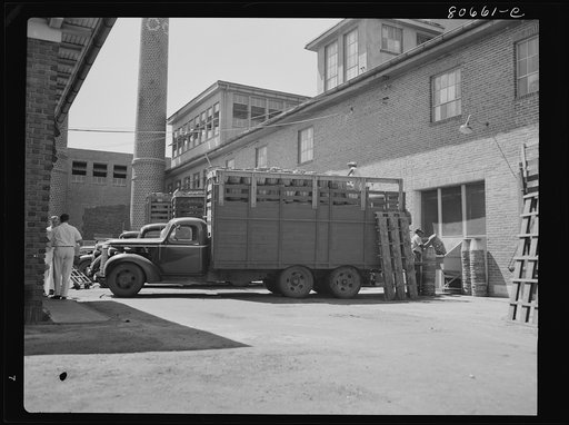Trucks come directly from field and unload tomatoes directly into the canning room. Phillips Packing Company, Cambridge, Maryland
