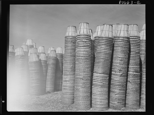 Untitled photo, possibly related to: Empty baskets are stored in the yard of the plant until returned to grower. Phillips Packing Company, Cambridge, Maryland