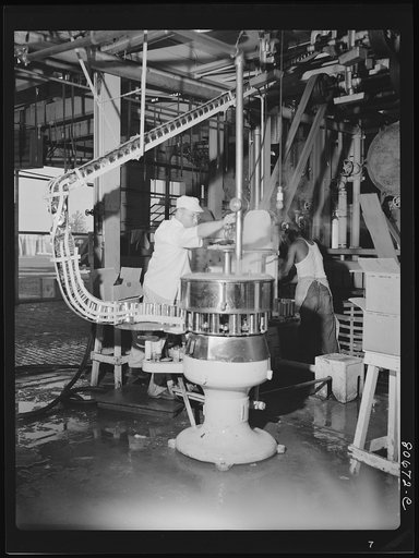 Untitled photo, possibly related to: Filling cans with tomato juice. Phillips Packing Company, Cambridge, Maryland