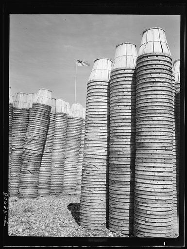 Empty baskets are stored in the yard of the plant until returned to grower. Phillips Packing Company, Cambridge, Maryland