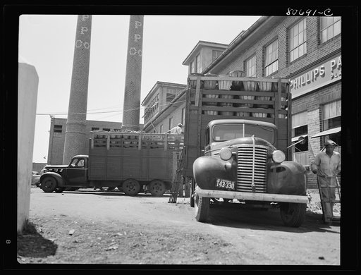 Trucks unload tomatoes directly into the canning room. Phillips Packing Company, Cambridge, Maryland
