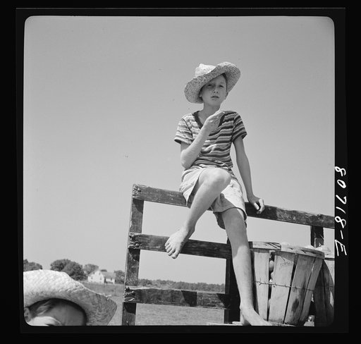 Young picker waiting for loaded truck to leave for cannery. Dorchester County, Maryland