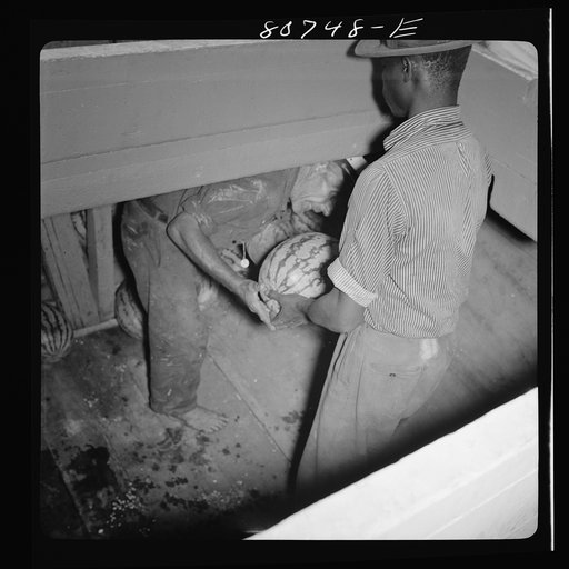 Untitled photo, possibly related to: Captain of this Chesapeake Bay freight boat has taken off his shoes for a better footing on the melon smeared-hold of his ship. Maryland