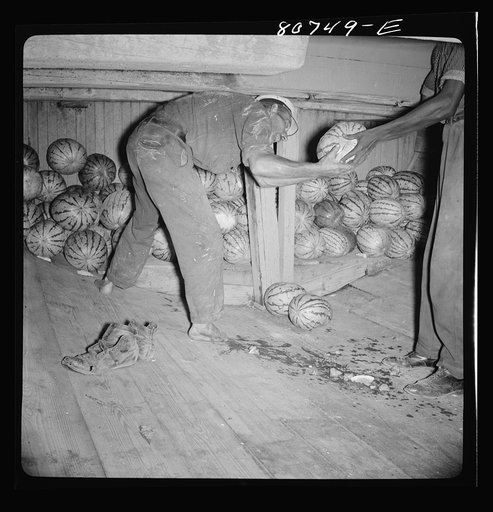 Untitled photo, possibly related to: Captain of this Chesapeake Bay freight boat has taken off his shoes for a better footing on the melon smeared-hold of his ship. Maryland