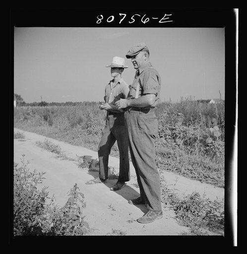 Untitled photo, possibly related to: Roger Dauber, East shore farmer. Dorchester County, Maryland