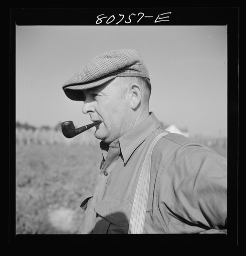 Untitled photo, possibly related to: Roger Dauber, East shore farmer. Dorchester County, Maryland