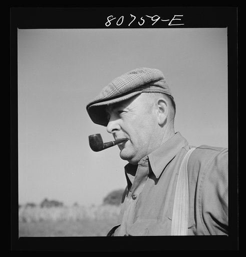 Roger Dauber, East shore farmer. Dorchester County, Maryland