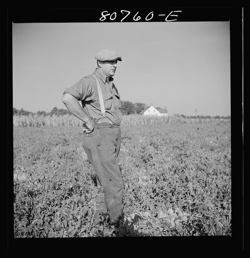 Untitled photo, possibly related to: Roger Dauber, East shore farmer. Dorchester County, Maryland