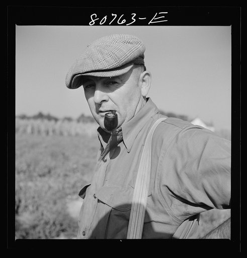 Untitled photo, possibly related to: Roger Dauber, East shore farmer. Dorchester County, Maryland