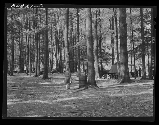 Untitled photo, possibly related to: Picnic park created by CCC (Civilian Conservation Corps). Savoy Mountain State Park, Massachusetts