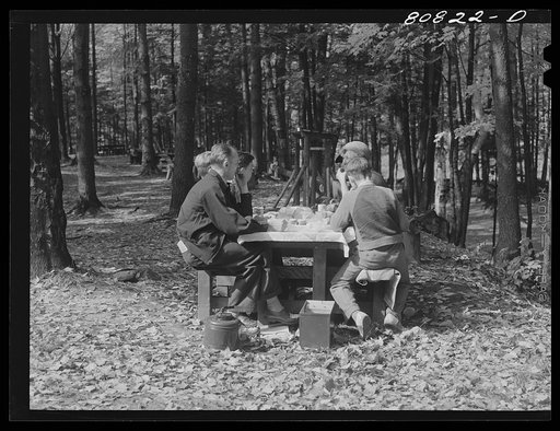 Untitled photo, possibly related to: Picnic park created by CCC (Civilian Conservation Corps). Savoy Mountain State Park, Massachusetts