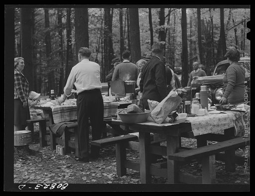 Untitled photo, possibly related to: Campers who have come from nearby factory town for Sunday in the autumn woods. Mohawk Trail, Massachusetts