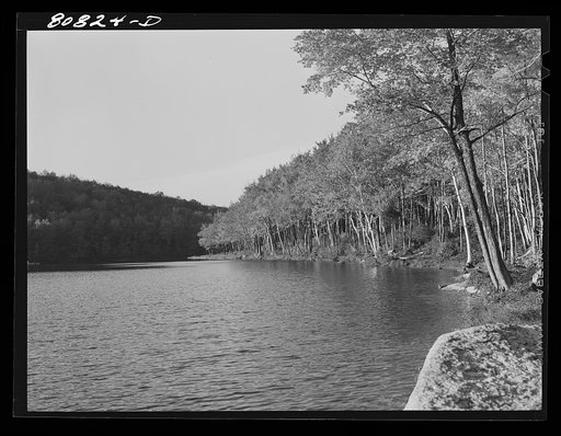 Lake in Savoy Mountain State Park created by CCC (Civilian Conservation Corps). Savoy Mountain State Park, Massachusetts