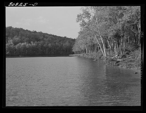 Untitled photo, possibly related to: Lake in Savoy Mountain State Park created by CCC (Civilian Conservation Corps). Savoy Mountain State Park, Massachusetts