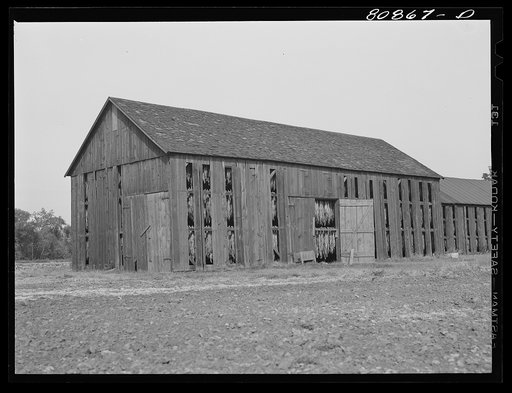 Untitled photo, possibly related to: Tobacco shed near Greenfield, Connecticut