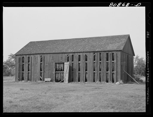 Tobacco shed near Greenfield, Connecticut