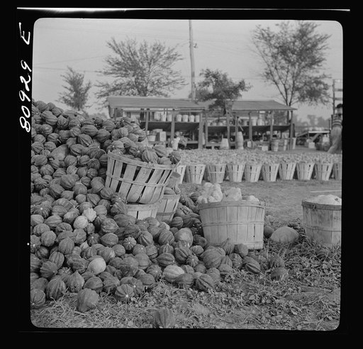Untitled photo, possibly related to: Greenfield, Massachusetts. Roadside market