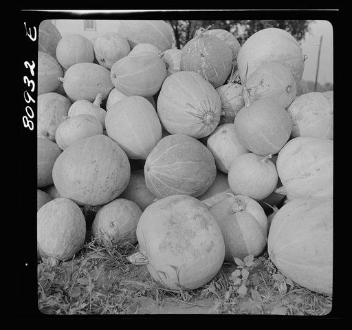 Untitled photo, possibly related to: Melons piled in harvest market near Windsor Locks, Connecticut