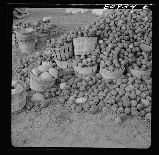 Greenfield, Massachusetts. Roadside market