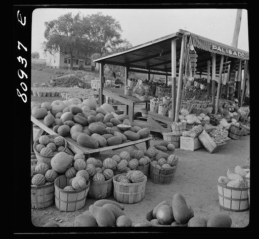 Harvest market near Windsor Locks, Connecticut